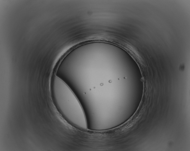 X0000091720788200708241019