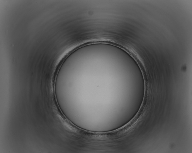 X0000091720789200708241019
