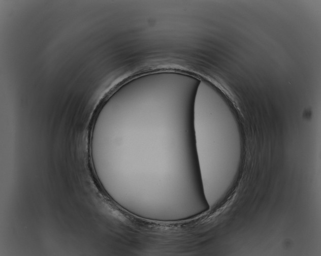 X0000091720790200708241019