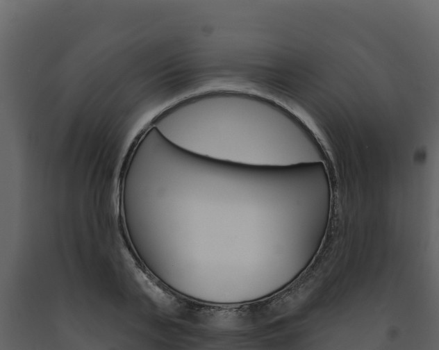 X0000091720791200708241019