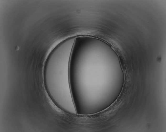 X0000091720792200708241019