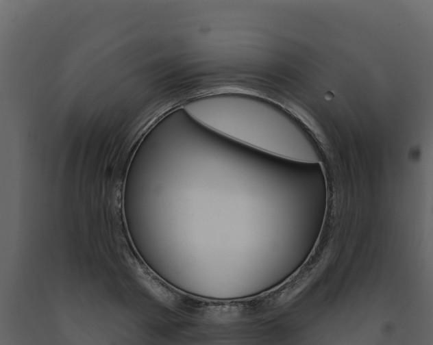 X0000091720793200708241019
