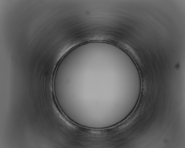 X0000091720794200708241019