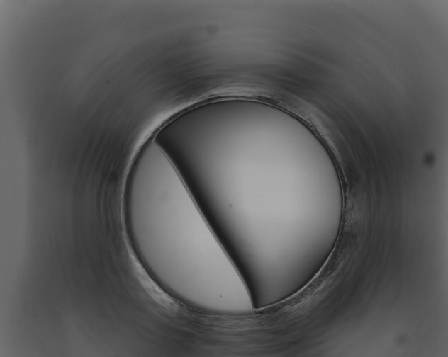 X0000091720795200708241019