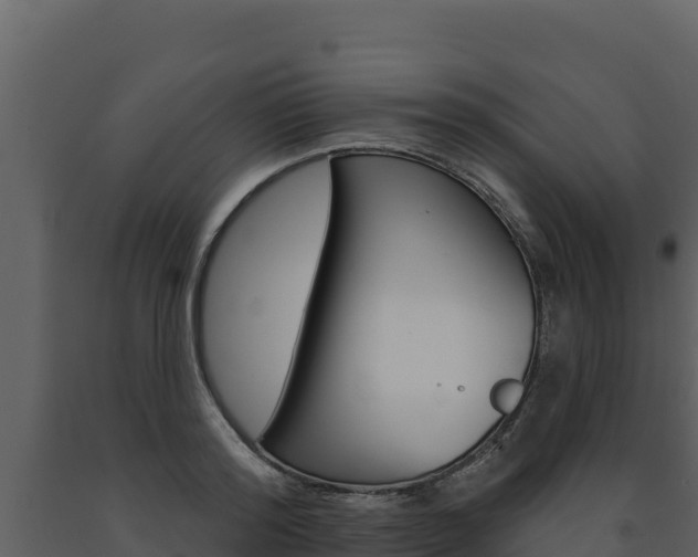X0000091720796200708241019