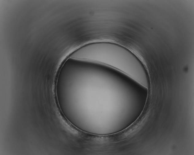 X0000091720797200708241019