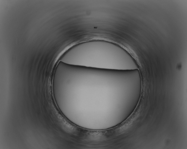 X0000091720798200708241019