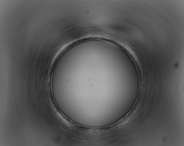 X0000091720799200708241019