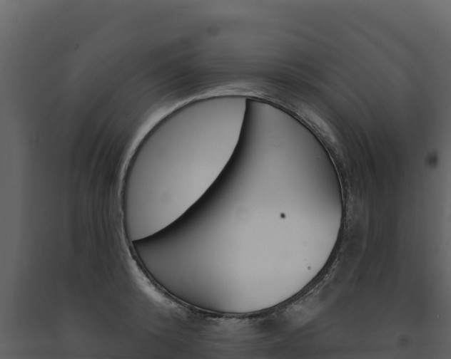 X0000091720800200708241019