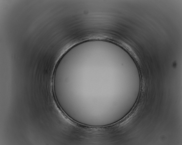 X0000091720802200708241019