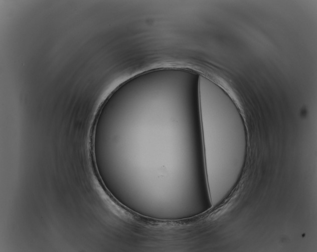 X0000091720803200708241019