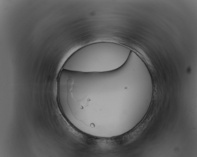 X0000091720804200708241019