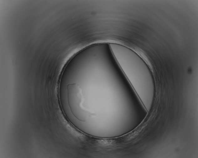 X0000091720805200708241019