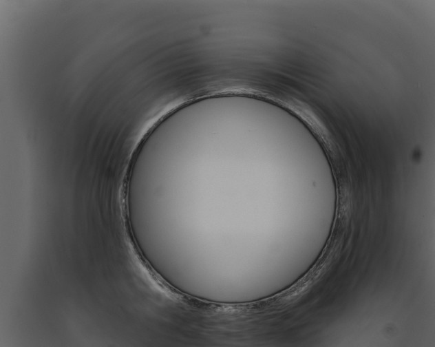 X0000091720806200708241019