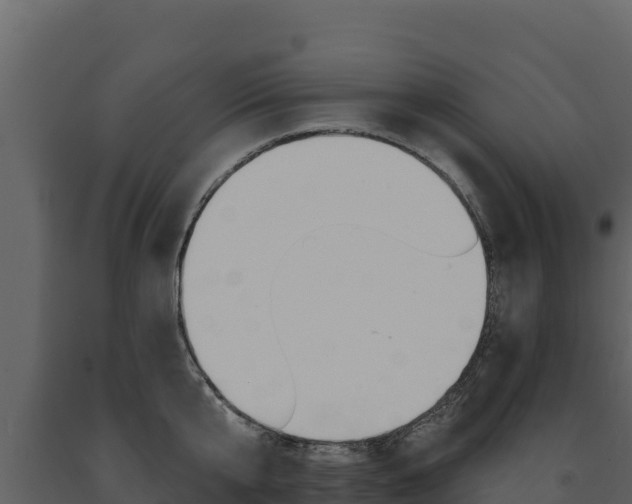 X0000091720807200708241019