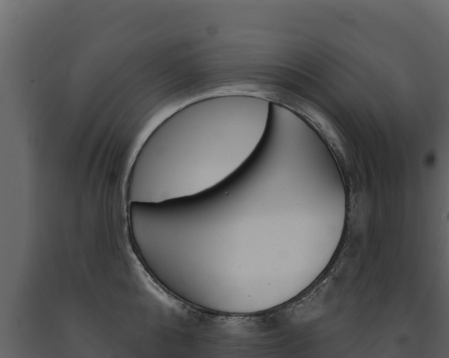 X0000091720808200708241019