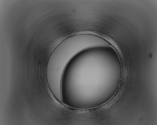 X0000091720809200708241019