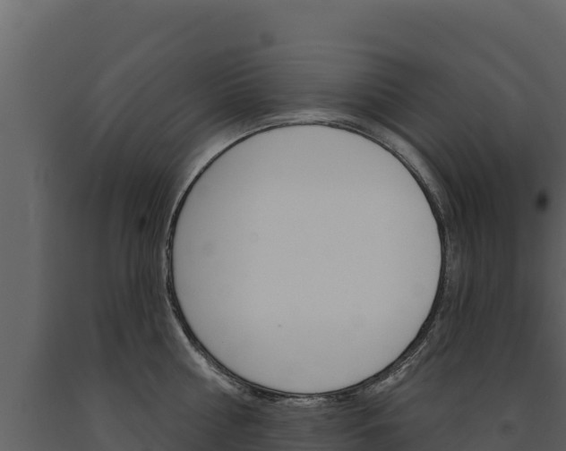 X0000091720810200708241019