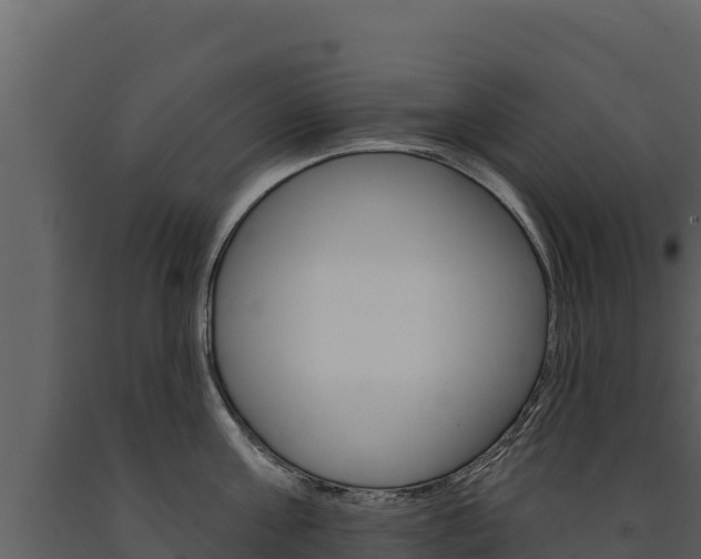 X0000091720811200708241019