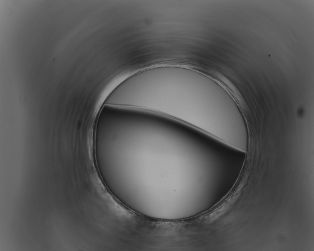 X0000091720812200708241019