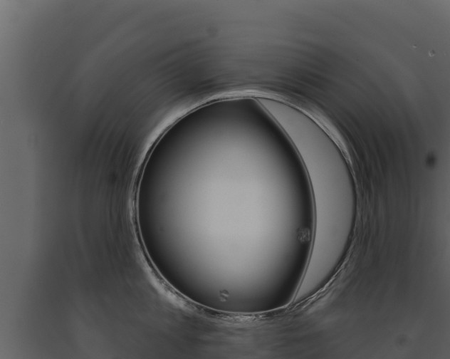 X0000091720813200708241019