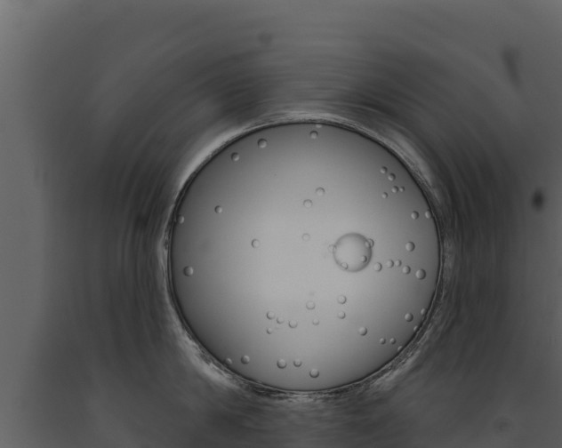 X0000091720814200708241018