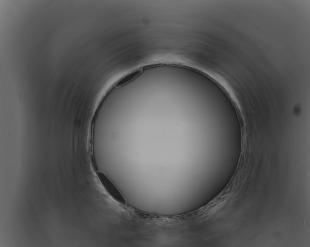 X0000091720815200708241018