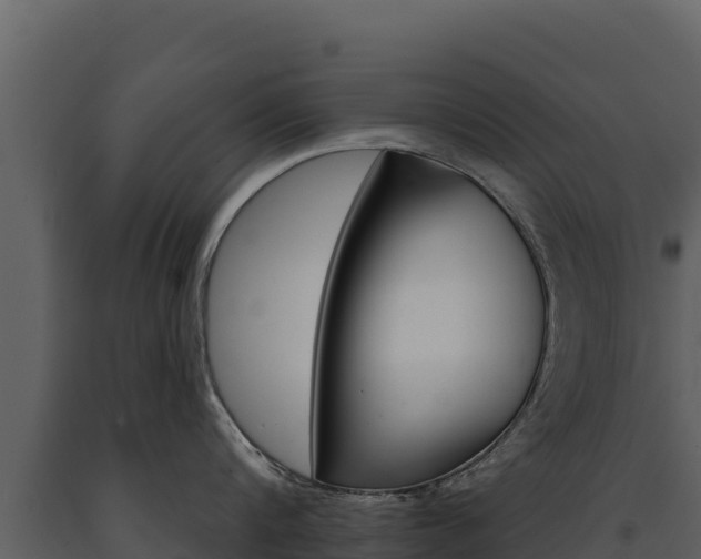 X0000091720816200708241018