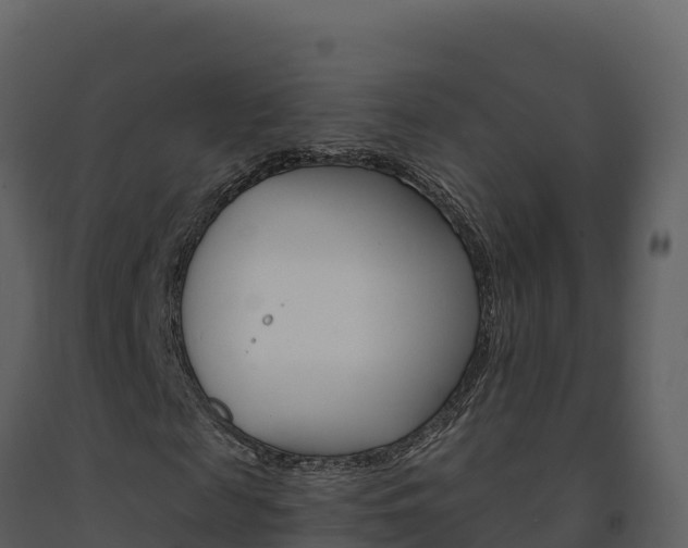 X0000091720817200708241018