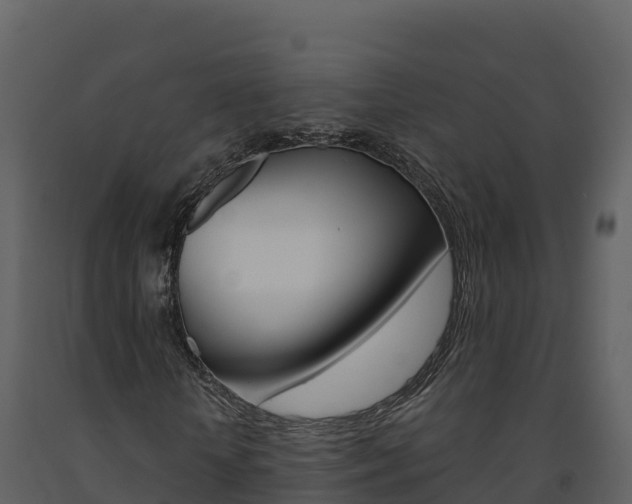 X0000091720818200708241018