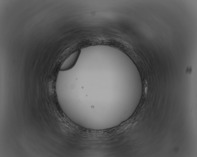 X0000091720819200708241018