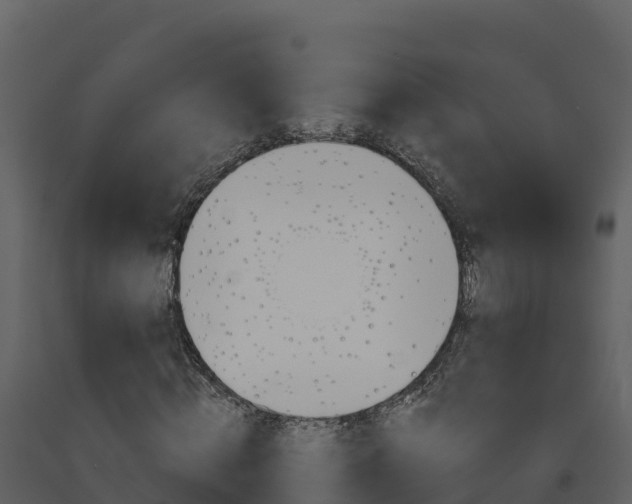X0000091720820200708241018