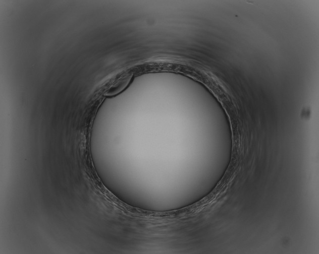 X0000091720821200708241018