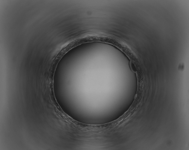 X0000091720822200708241018