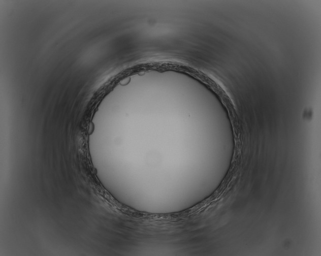 X0000091720823200708241018