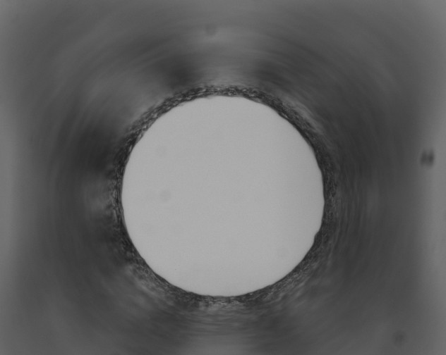 X0000091720824200708241018