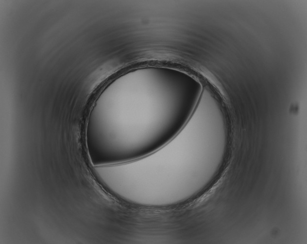 X0000091720826200708241018