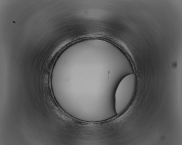 X0000091720827200708241018