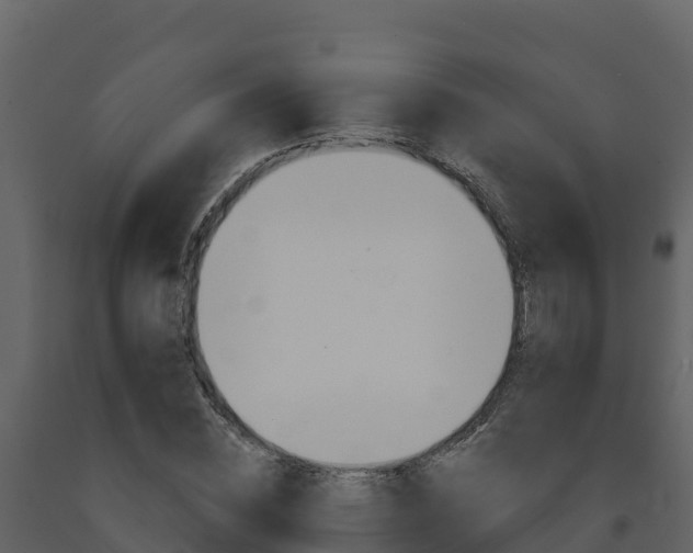X0000091720828200708241018