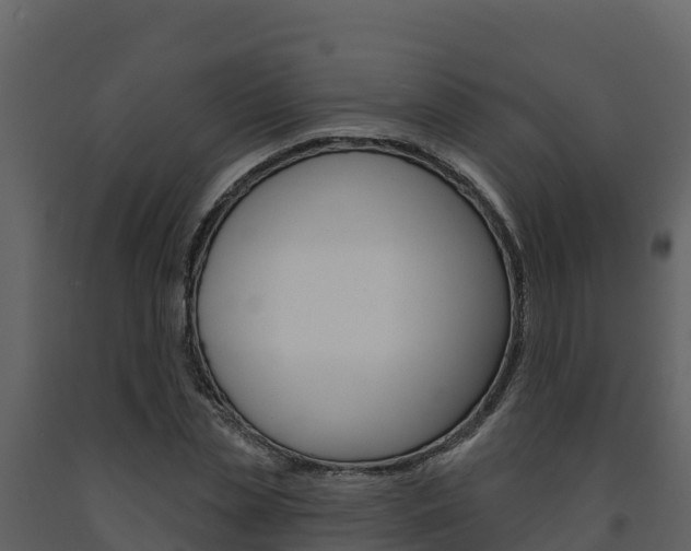 X0000091720829200708241018