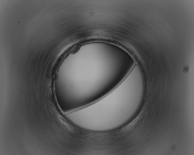 X0000091720830200708241018