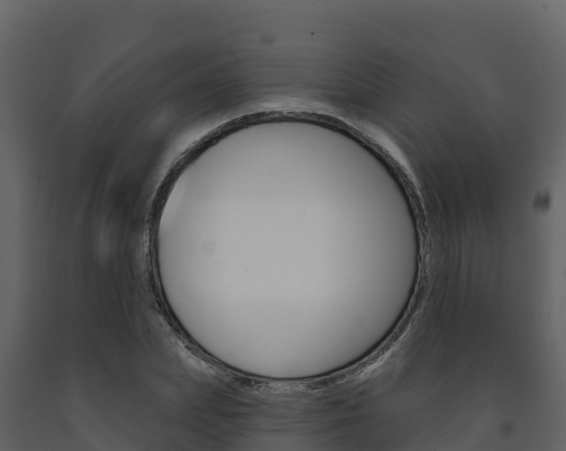 X0000091720831200708241018