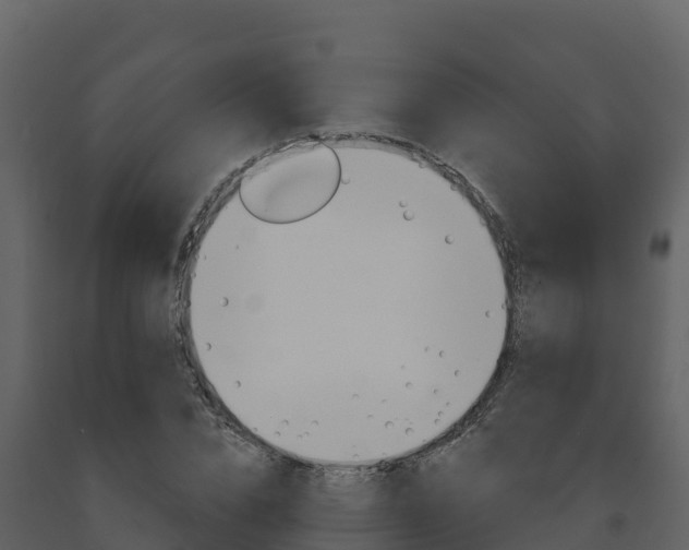 X0000091720832200708241018