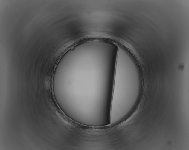 X0000091720833200708241018