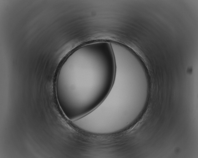 X0000091720834200708241018