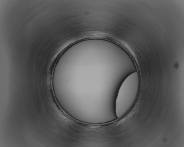 X0000091720835200708241018
