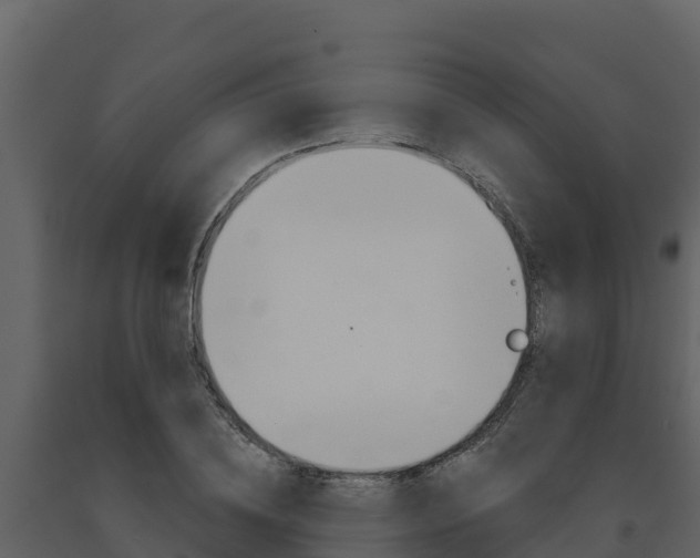 X0000091720836200708241018