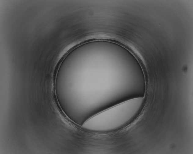 X0000091720837200708241018