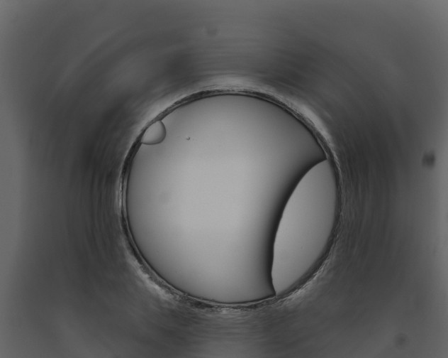 X0000091720839200708241018