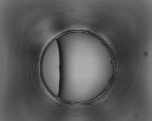 X0000091720840200708241018